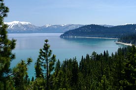 Lake Tahoe Pano Trees