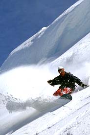 Tahoe Snowboarder Powder Blue Bird